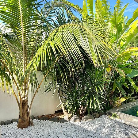サン・ピエール Le Yucca 974 By J&Vヴィラ エクステリア 写真