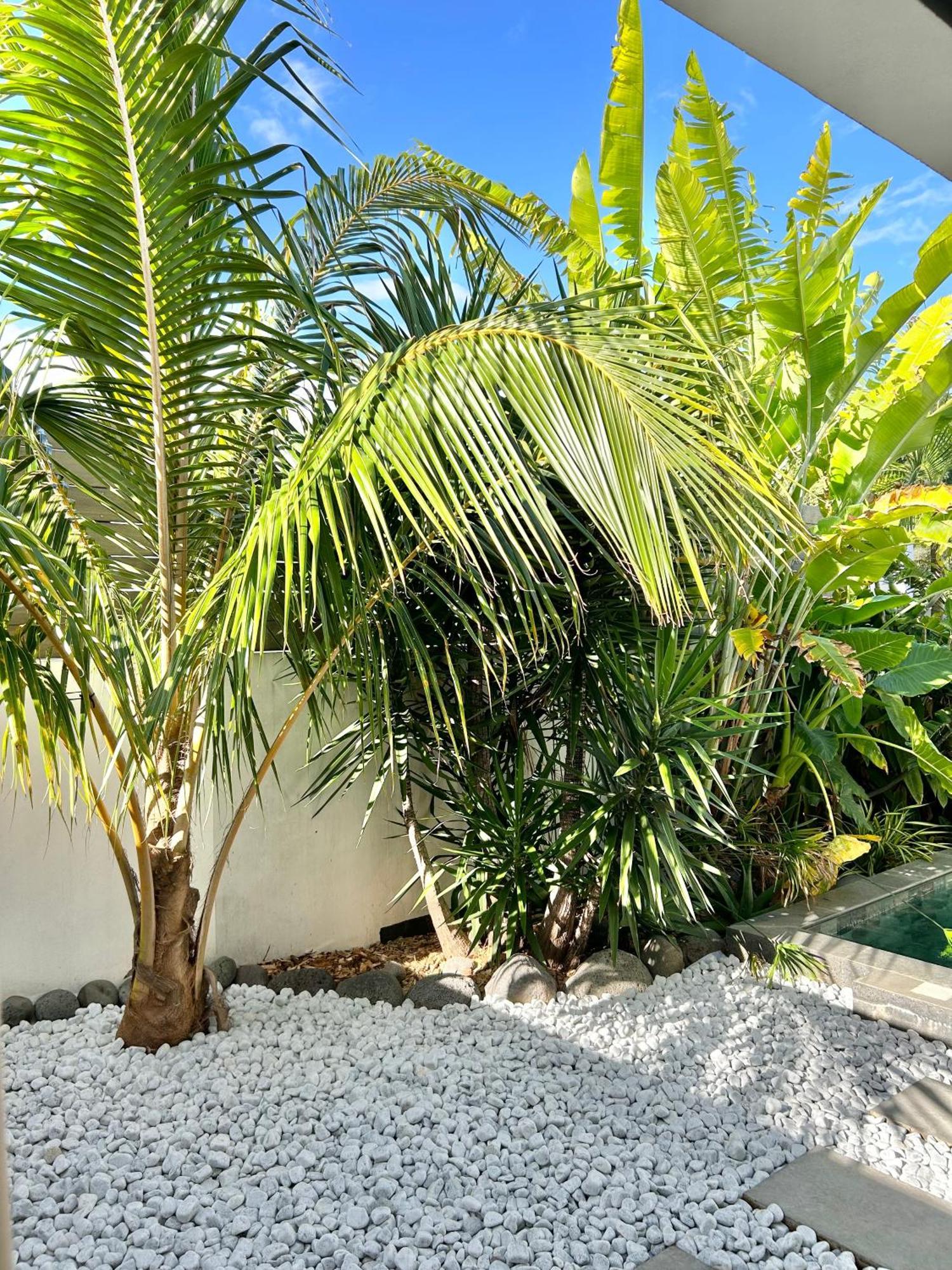 サン・ピエール Le Yucca 974 By J&Vヴィラ エクステリア 写真